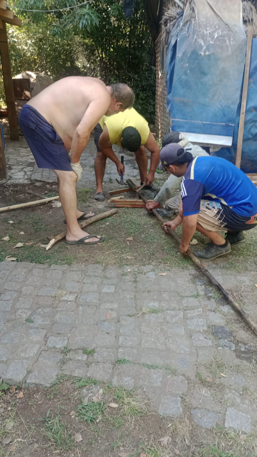 WhatsApp Image 2025-02-03 at 09.40.56.jpeg